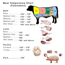 Meat Cooking Temperatures Chart Printable Great Homemade Recipes Meat Temperature Chart Fahrenheit Conseils De Cuisine Livre De Cuisine