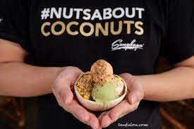 Bhd., experts in manufacturing and exporting coconut ice cream and 15 more products. Famous Sangkaya Coconut Ice Cream Jalan Alor Kl I Come I See I Hunt And I Chiak