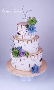 Die kuche ist einer der wichtigsten orte im haus deshalb ist es wichtig ein harmonisches design zu erreichen um eine gute lagerung zu erreichen und eine ordn. Torte Im Birkenoptik Design Mit Sukkulenten Www Cakerydreams De Cake Design Torte Fondant Birkenop Festtagstorten Rustikale Hochzeitstorten Hochzeitstorte