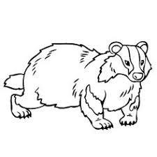 Though most weasels are pretty cute, the honey badger is one of the fiercest small animals on earth! 73 Badger Siluets Graphic Ideas In 2021 Jezevec Vsezravci Geocaching