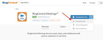 Ringcentral meetings is a desktop and mobile app from ringcentral designed around video conferencing. Virtual Appointments Monk S Home Improvements