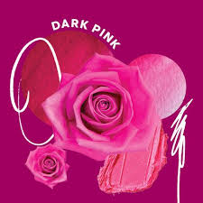 We did not find results for: Rose Color Meanings What Roses To Get For Different Occasions