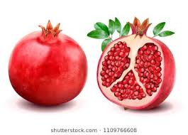 New Link In 2020 Pomegranate Leaves Pomegranate White Stock Image