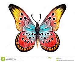 How To Draw Butterflies Flying Google Search Butterfly Drawing How To Draw Hands Butterfly