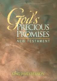 Why would god give so many p. God S Precious Promises New Testament By Amg Publishers 9780899579696 Reviews Description And More Betterworldbooks Com