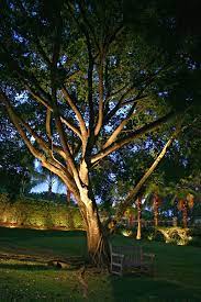 Spectacular Tree Lighting Outdoor Lighting Landscape Outdoor Landscape Lighting Garden Lighting Design