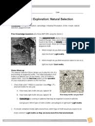 Mutation and selection gizmo fitness describes how well an organism can survive and reproduce in an environment a white background results in 100% average fitness a black background results in 0% average. Student Exploration Natural Selection Gizmo Natural Selection Evolution