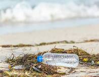 Beach Cleanup