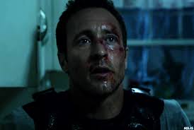 The Steve McGarrett Story