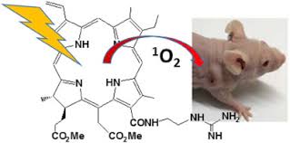 Tencent, the acquirer of the league of legends, released the adaptation on april 7th, 2017. The Photodynamic Activities Of Dimethyl 131 2 Guanidinyl Ethylamino Chlorin E6 Photosensitizers In A549 Tumor European Journal Of Medicinal Chemistry X Mol