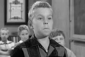 What Ever Happened to the Cast of 'Leave It to Beaver'?