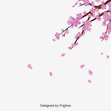 Vector Cherry Cherry Blossom Clipart Vector Cherry Blossoms Png Transparent Clipart Image And Psd File For Free Download Cherry Blossom Petals Cherry Blossom Flowers Japanese Flowers