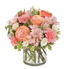 We did not find results for: Conroy S Flowers Victorville Fresh Flowers Gifts Victorville Ca