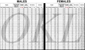 okl chart keeping track of keto diet and macros keto no