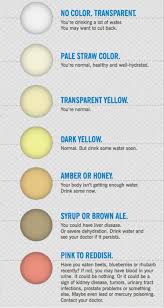 What Your Pee And Poo Color Says About Your Health Color Of Urine Health Health Check