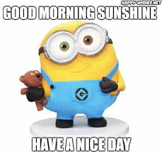 Start your day with humor using these images. Morning Sunshine Cute Good Morning Meme