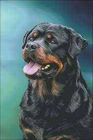 Pin By Erick Chavez Flores On Mastiff Dogs Art Rottweiler Breed Dog Breeds Rottweiler Lovers