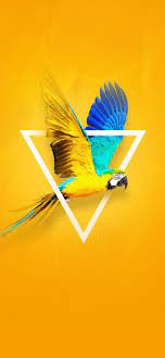 Pin By Chica Okay Idc On Animals Abstract Iphone Wallpaper Iphone Wallpaper Minimalist Iphone