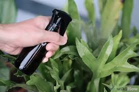 The first part will cover home remedies for training cats to stay away from furniture and other restricted areas inside your house. 5 Ways To Make Homemade Cat Repellent Wikihow