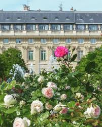 Chantal Coffeeandseasons On Instagram Bonne Fete Des Meres Le Tres Beau Jardin Du Palais Royal Instagram Instagram Posts I Love Paris