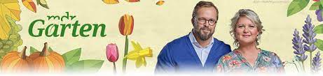 Mit der nächsten ausgabe nimmt der mdr garten ein jubiläum in den blick: Mdr Garten Sendetermine 24 07 2021 29 08 2021 Fernsehserien De