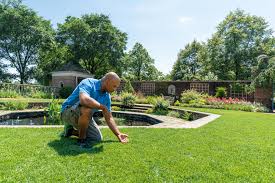 How long should you water? How Long To Water Grass And Other Lawn Care Answers
