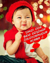 Sevgi sekilleri