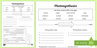 What is photosynthesis photosynthesis worksheet science. Photosynthesis Worksheet Pdf Twinkl Teacher Made