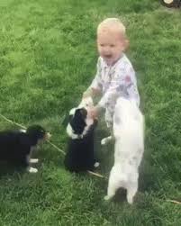 So Brother Attack This Little Boy Cute Animal Photos Dogs And Kids Cute Funny Dogs