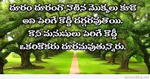 Telugu Morning Quote Whats app sharing beautiful relationship status messages sayings in telugu free. telugu morning quote