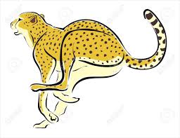 Cheetah genes mutated to boost muscle strength and make it Drawing Of A Cheetah Running Royalty Free Cliparts Vectors And Stock Illustration Image 19375271