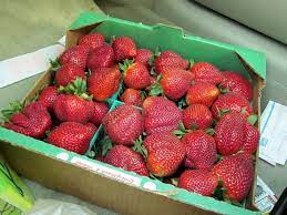 Home test kitchen how to i remember the first time i made jam. Half A Flat Of Strawberries Run Eat Repeat