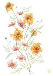 Marigold Print Watercolor Floral Large Wall Art Modern Etsy In 2021 October Flowers Birth Flowers Flower Tattoos