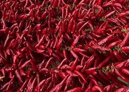 Világhírűvé vált a magyar kalocsai és szegedi fűszerpaprika őrlemény. Megnyilt A Kalocsai Paprika Fesztival Trade Magazin