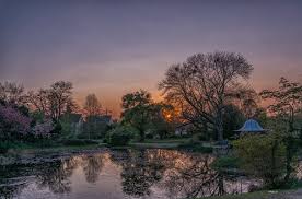 The following 12 files are in this category, out of 12 total. Darmstadt Prinz Emil Garten Foto Bild Deutschland Europe Hessen Bilder Auf Fotocommunity