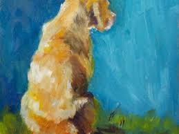 Check spelling or type a new query. Pet Care Center At Luna Park Petcarecenter Profile Pinterest