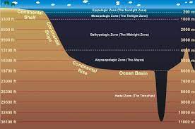 Palung mariana adalah jurang dasar laut yang memiliki kedalaman hingga 11 kilometer. Gunung Everest Boleh Tenggelam Jika Diletakkan Di Jurang Mariana Terdalam Di Dunia Libur