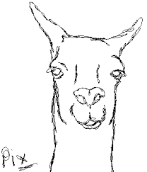 How do you draw a lioness? Llama Sketch By Pixels 7 On Deviantart