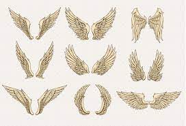 There are ten different phylum of angels, all with their own personality and area of specialty. Wings Decorative Set Vector Free Download Wings Drawing Cartoon Wings Angel Wings Drawing