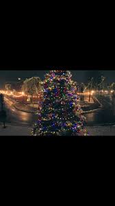 It's almost time…less than two weeks to go 🌲