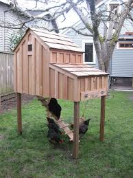 Seattlechickencoops S Member Page Backyard Chickens Community Huhner Huhnerstall Huhnerhaus