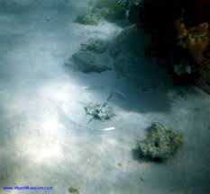 Gambar laut merah yang terbelah. Subhanallah Inilah Bukti Bukti Foto Bahwa Nabi Musa Pernah Membelah Laut Merah Beritaislam Org