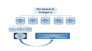 Hoy no circula 'pegará' a 0 y 00. Plan De Contingencia