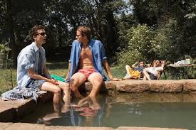 Pool Party Call Me Timothee Chalamet Names