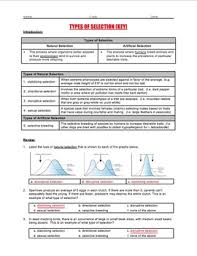 Divergent evolution usually results in new _. Evolution Types Of Selection By Science With Mr Enns Tpt