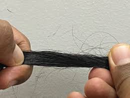 Image result for Hair Pull Test