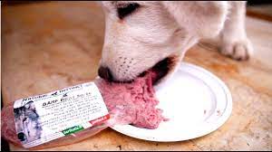 Alimentazione naturale per cucciolo di husky. La Dieta Barf Del Cane