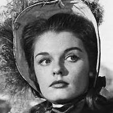 The Glory Guys (1965)