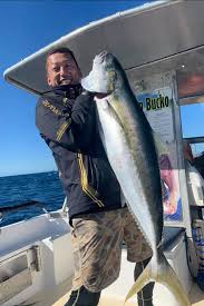Check spelling or type a new query. Fishing Charters Bay Of Islands Captainbucko Paihia