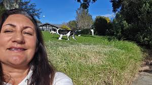 Pukekohe Grapevine Community Group